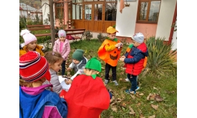 TOAMNA-FRUMUSEȚE, BUCURIE ŞI CULOARE