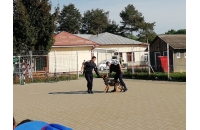 Scoala Altfel - Ziua 4 - Vizită la Jandermeria Bacău